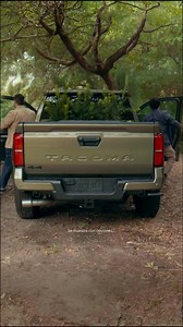 Celebra el Mes de Pickups con la nueva y espaciosa Tacoma 2025. | Local Toyota Dealers