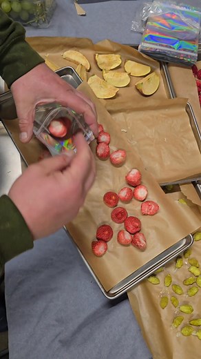 Freezing drying 5 different fruits #offgrid #freezedry #offgridliving #homestead #fruit | Field to Farm