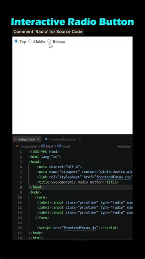 Custom Radio Button UI | HTML & CSS 🔵