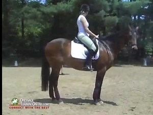 Today's Flashback Friday clip is with rider biomechanics expert Mary Wanless. She is working with an event rider who wants to improve her dressage scores and be more competitive. The rider shows a good position at the rising trot but hollows her back a bit at the canter. Mary works with her position at the halt, giving her great images to strengthen her lower back. DT OnDemand members can click below to watch the full video! Not a member? Sign up for a free 10-day trial with subscription at http