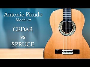 Antonio Picado Model 62 Comparison