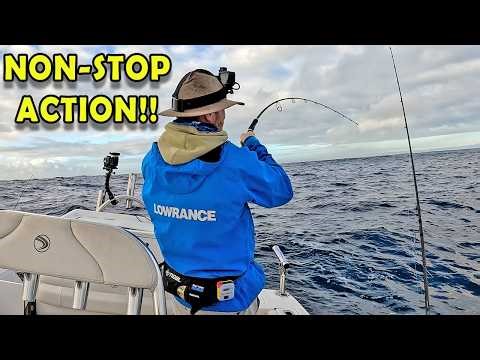 The Reef was ALIVE! | I caught a whole days' worth of fish in 3 hours!