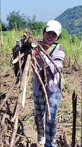 #filipina #provincelife #trendingnow #shortsviral