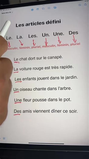Les articles défini #apprendrelefrançais #francaise #parlerfrancais #languefrançaise | Apprendre le français en s'amusant