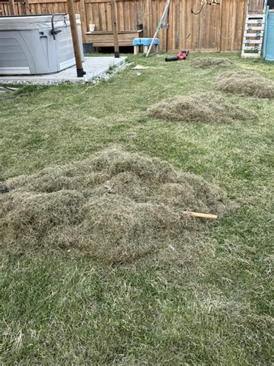 [Home Hardware] Lawn dethatcher benchmark home hardware - Page 2 - RedFlagDeals.com Forums