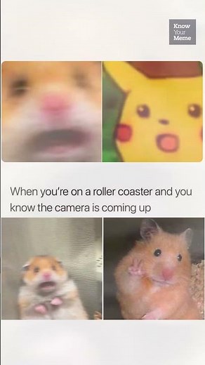 This Day in Meme History: Scared Hamster