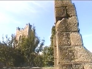 3.3K views · 31 reactions | This award winning DVD documentary film...