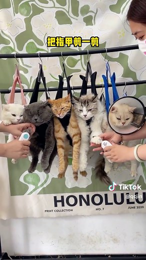 TikTokでLaughTikさんをチェック！