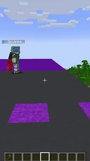 Minecraft Guess the Celebrity Challenge