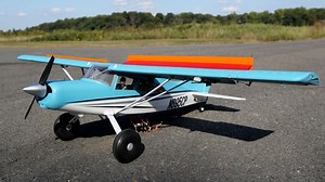 Princeton Engineering - Bird wings inspire new approach to flight safety