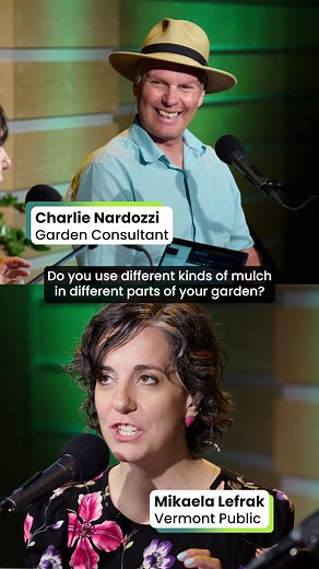 Gardening extraordinaire Charlie Nardozzi ❤️ Arborist wood chips The chunky, irregular chips let air and water in around trees, shrubs and perennial flowers. Watch Vermont Edition: https://www.vermontpublic.org/show/vermont-edition/2025-05-16/watch-vermont-editions-annual-spring-gardening-show-with-charlie-nardozzi | Vermont Public
