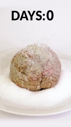 Can Salt Protect Meat from Maggots? Exploring the Effects of Salt on Maggot Infestation