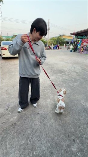 Is this the real owner of the dog?