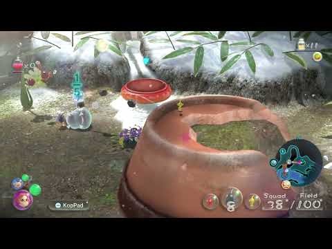 Pikmin 3 DX Randomizer Day 3 (successful Run)