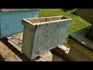 How Barnyard Bees Sets Up Nucs With 2 Frame Mini Nuc