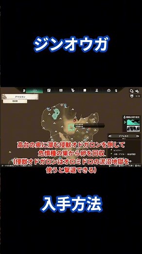 How to obtain Zinogre!! You can obtain it by defeating the invading beast Odogaron!! [Monster Hun...