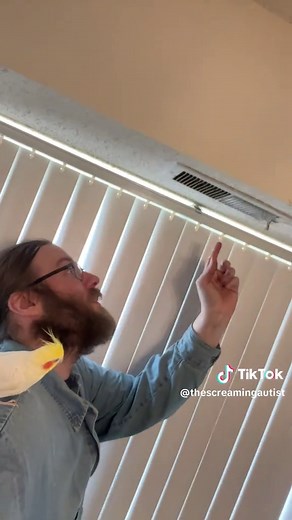 Screaming at an Air Conditioner Vent