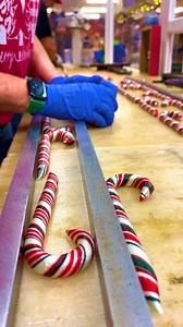 2K reactions · 488 shares | Hey MI!  The #1 Event of Christmas is Opening this Sat & Sun! Meet reindeer, visit Santa’s barn, & experience the wonder of Christmas at the farm!歷 ️ Tickets still available: rooftopreindeer.com  Nov 1st: Trick or Treat  Nov 2nd: Scottish Highland Cow Day  Select Dates: Nov 1st - Dec 23rd  Clare, MI | Rooftop Reindeer | Rooftop Landing Reindeer Farm | Facebook