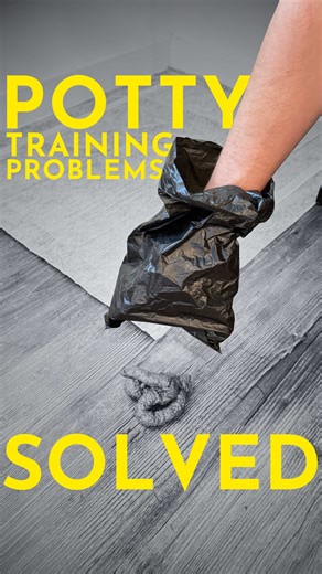 Effective Potty Training for Puppies and Adult Dogs