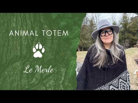 Animal TOTEM - Le Merle