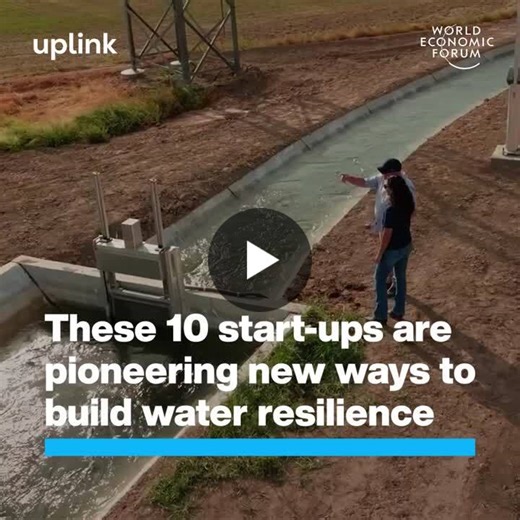 Water Resilience Challenge Winners Announced: 10 Scalable Solutions for Global Water Challenges | HCL Enterprise posted on the topic | LinkedIn