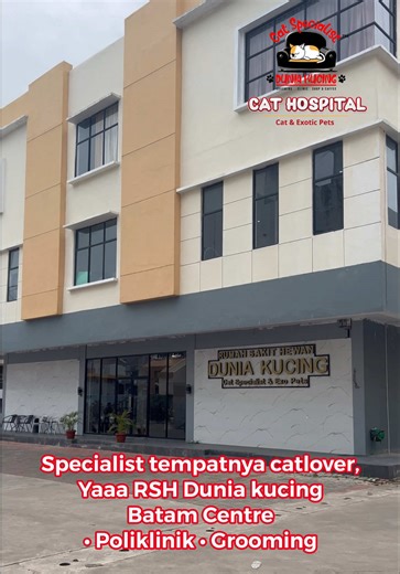 Layanan Terbaik untuk Kucing Kesayangan di RSH Dunia Kucing