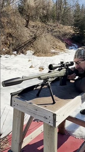 supersonic 308 vs subsonic