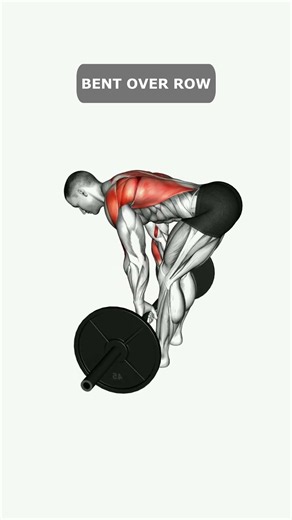 Top 5 Barbell Exercises for Strength