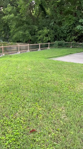 Is your Android battery slowing you down? Here’s some of our tips to conserve your device’s charge 🔋 #androiduser #androidbatterylife #androidbatterytip #androidrepair