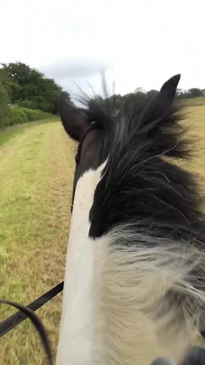 3..2..1..GO 🐎 into to the rain we gallop ☔️. #horse #horseriding