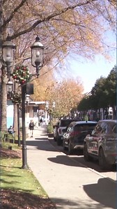 Huntersville's Birkdale Village to hit the market 2 months after town approved expansion