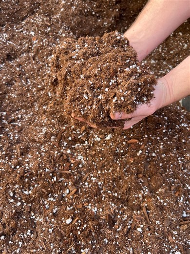 Chunky Potting Soil Mix – Gnat Repellent, Aroid & Houseplant Blend - Etsy