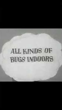 1950's Raid Home and Garden Bug Spray Commercial