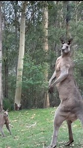 12K views · 946 reactions | Excuse me.. #reaction #bizmike | BizMike | Facebook