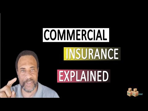 Cargo Van Ownership: Commercial Insurance Explained | Commercial General Liability