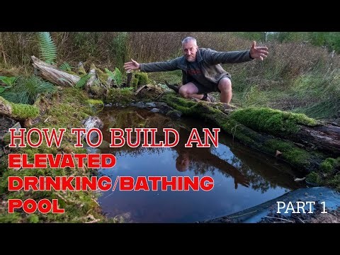 HOW TO BUILD AN ELEVATED BATHING/DRINKING POOL - WILDLIFE MAGNET - HIDE ADDITION