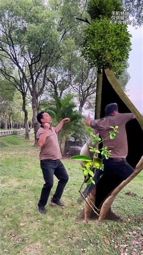 This tree is full of mechanisms # Magical Tree # Dongchedi