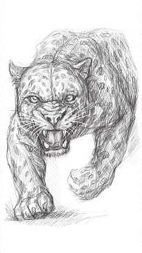 How to Draw a Realistic Leopard 🐆 | Step-by-Step Wild Animal Sketch for Beginners