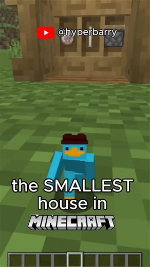 The SMALLEST house in minecraft