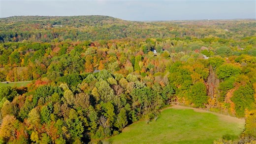 Fall colors in Northeast Ohio at The Holden Arboretum nature preserve in this flight and walk through the forest showcasing the beauty of the area. Located about 30 minutes southeast of Cleveland. Wait for the Halloween theme and skeletons at the end! Thanks for watching! | Adventures With Jeff Martinez
