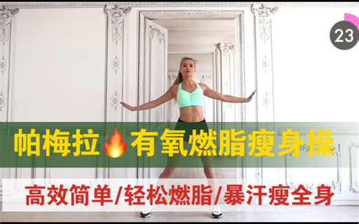 帕梅拉-30分钟有氧燃脂瘦身操合集！简单高效轻松燃脂一遍暴汗-有氧瘦全身舞蹈操-新手入门（瘦手臂+翘臀瘦大腿+瘦腰腹）