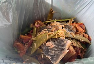Walsall food waste collection service scrutinised