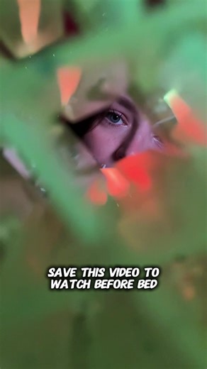 YouTube: Raccoon ASMR #asmr #asmrsounds #asmrvideo #asmrtiktoks #asmrforsleep