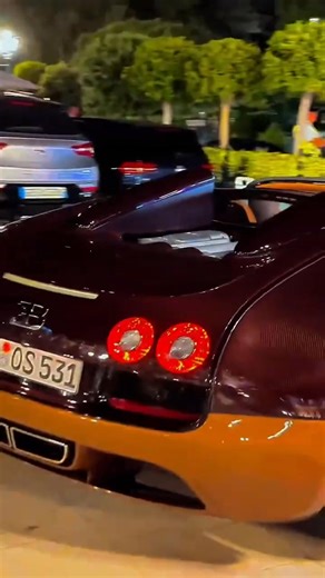 Bugatti🔥🇲🇨 #automobile #monaco #luxury #rich #carspotting #cars #bugatti #bugattiveyron | Euro Travel Monaco