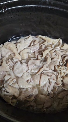 Slow Cooker Pork Chiterlings (First time cooking)