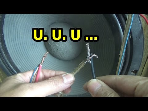 Why is my bass speaker buzzing How to fix a buzzing amplifier