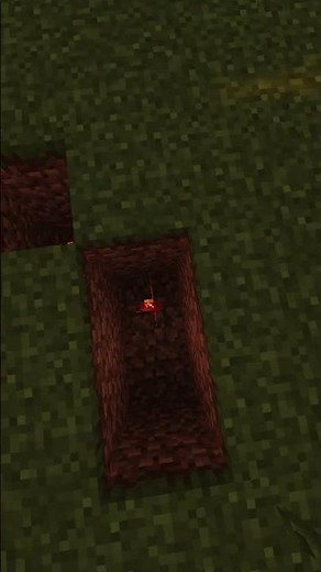 Minecraft Rabbit Trap Tutorial 🐰 | Easy Survival Trap #minecraft #minecraftshorts #minecraftbuilds