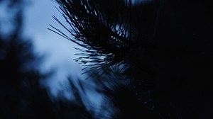 🎬 La Cité internationale universitaire de Paris dévoile un film manifeste pour célébrer son centenaire ! Plus qu’un récit historique, ce film, court mais puissant, est une immersion sensorielle et émotionnelle dans un lieu où l’utopie au service de la paix prend forme chaque jour. « Et si ce lieu n’existait pas ? » Cette question sert de fil rouge à une narration intemporelle et universelle. Un dialogue immersif entre deux étudiants du campus – une femme et un homme – redéfinit la Cité internat