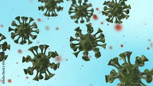 HMPV Virus Interaction with Human Cells