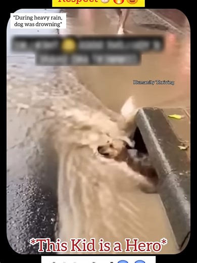 Explore the VitalWear SmartBand Features and Benefits